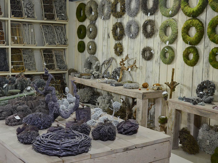 Moss Deco